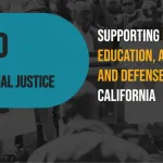 Graphic reading "LEAD for Racial Justice - Supporting legal education, advocacy and defense in California"